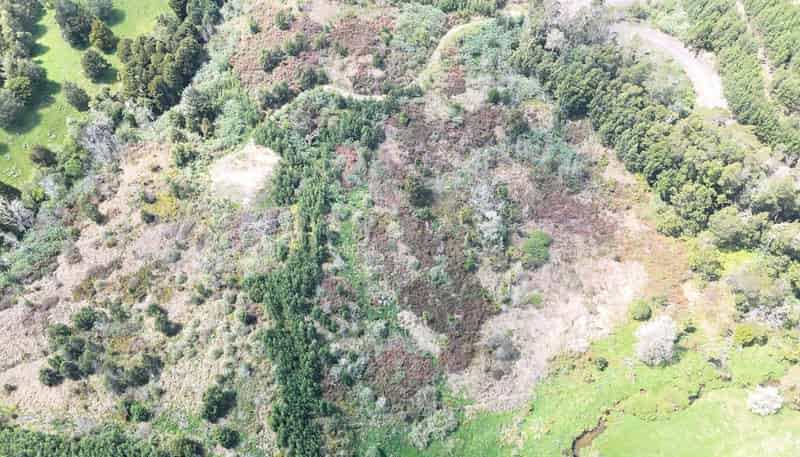 272 Waikuku Road, Waimate North