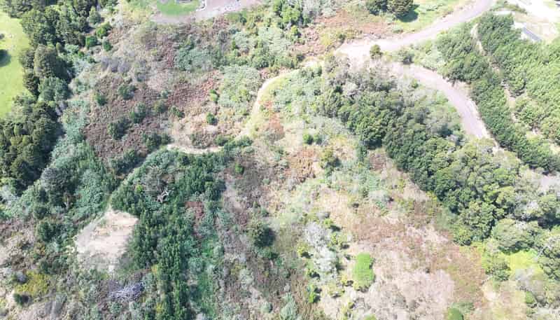 272 Waikuku Road, Waimate North