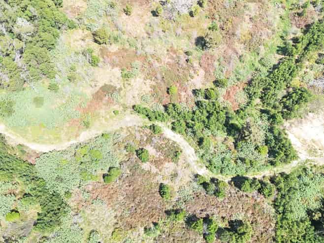 272 Waikuku Road, Waimate North