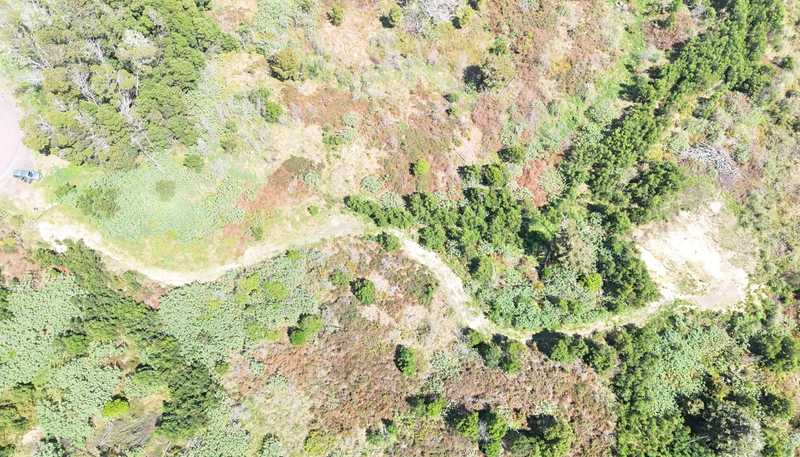 272 Waikuku Road, Waimate North