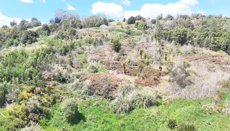 272 Waikuku Road, Waimate North