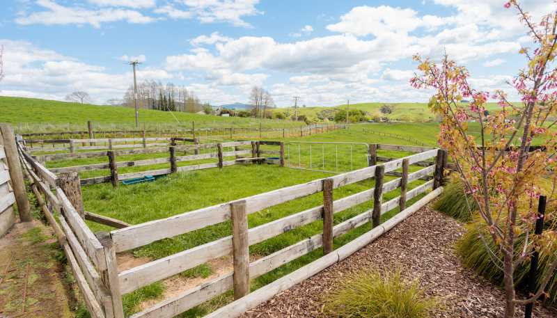376 Morgan Road, Matamata