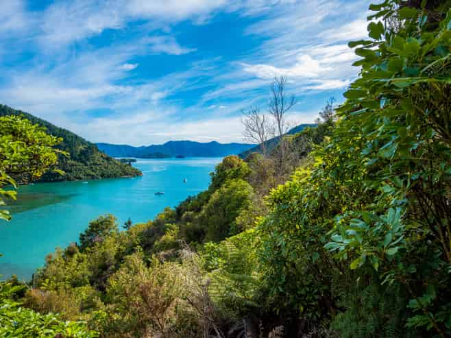 627 Port Underwood Road, Whatamango Bay