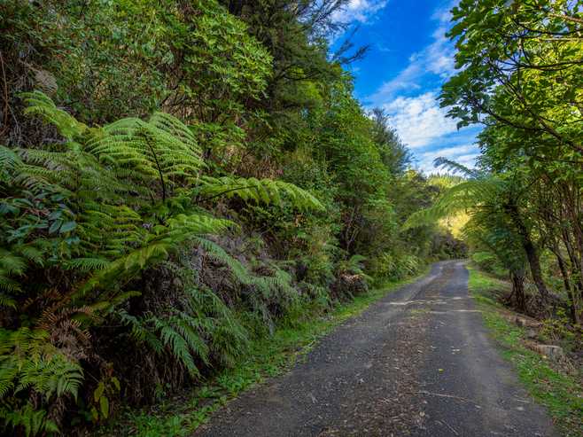 627 Port Underwood Road, Whatamango Bay