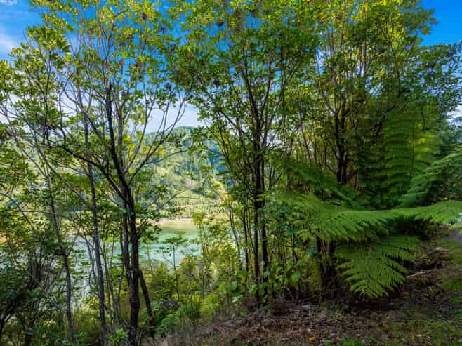627 Port Underwood Road, Whatamango Bay