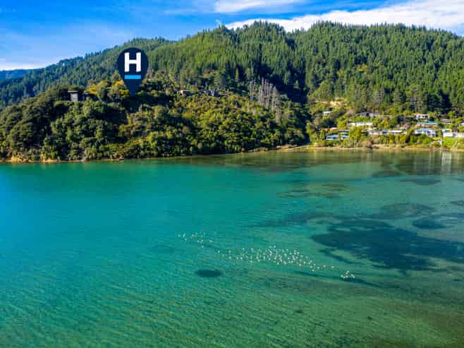 627 Port Underwood Road, Whatamango Bay