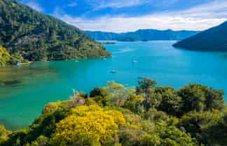 627 Port Underwood Road, Whatamango Bay