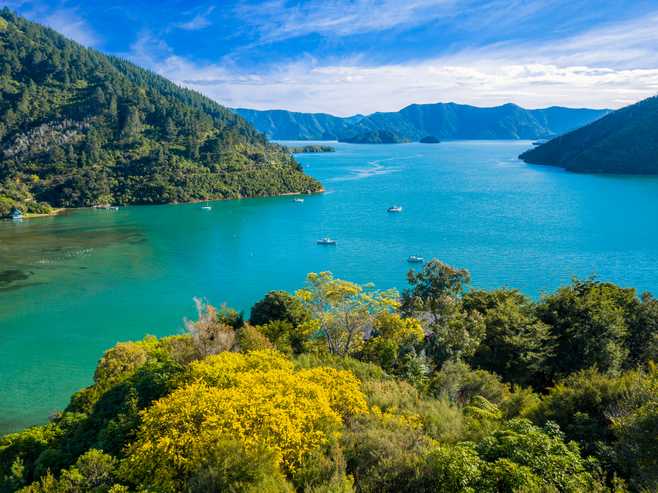 627 Port Underwood Road, Whatamango Bay