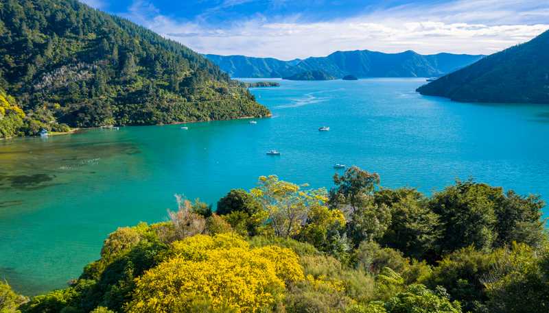 627 Port Underwood Road, Whatamango Bay