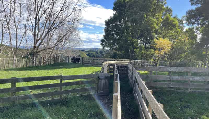 133 Mania Road, Rangiwahia