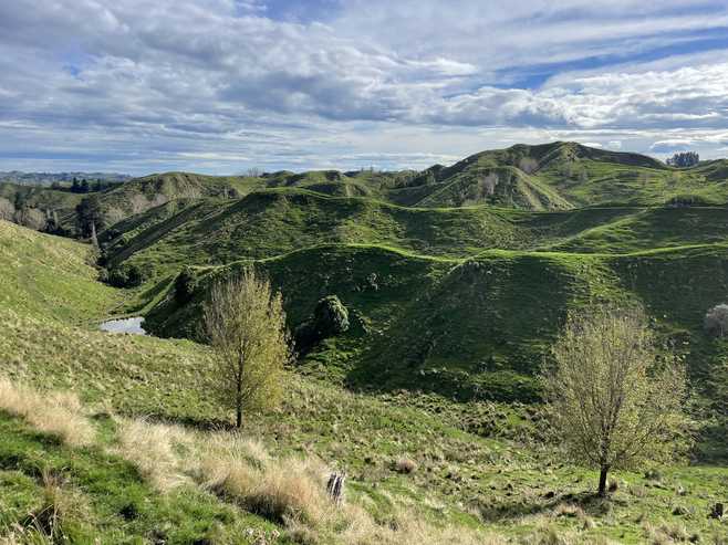 133 Mania Road, Rangiwahia