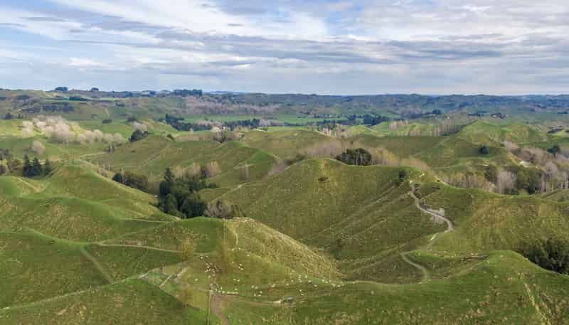 133 Mania Road, Rangiwahia