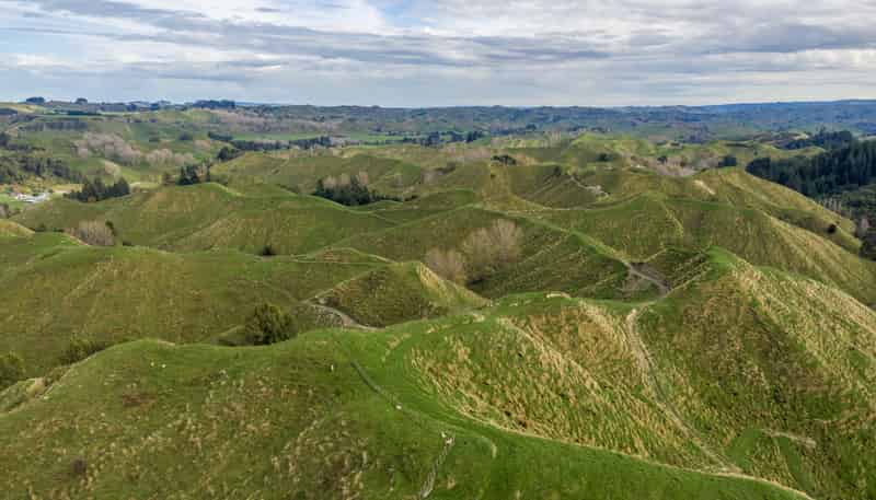 133 Mania Road, Rangiwahia
