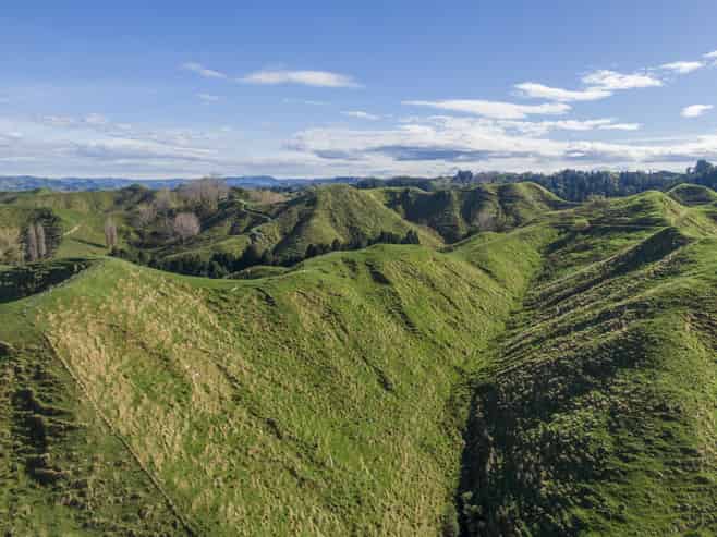 133 Mania Road, Rangiwahia
