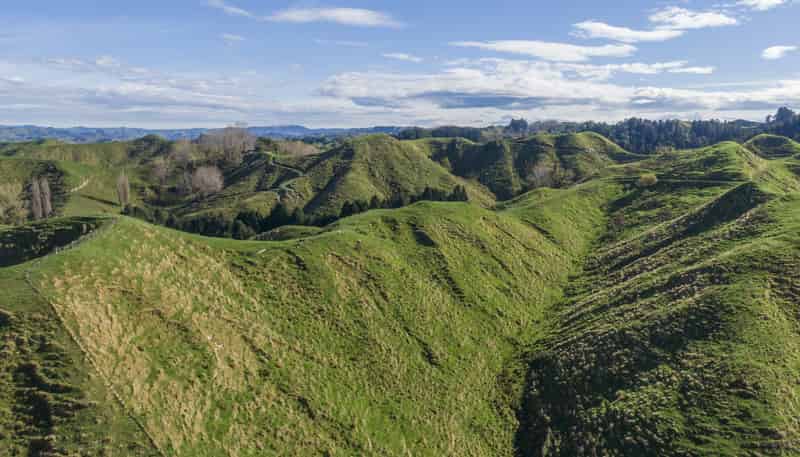 133 Mania Road, Rangiwahia
