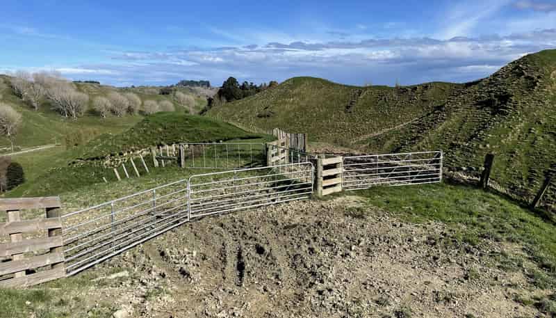 133 Mania Road, Rangiwahia
