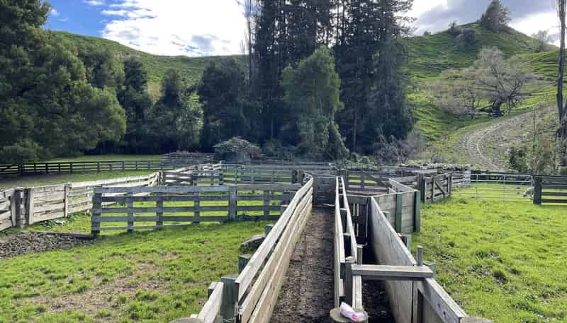 133 Mania Road, Rangiwahia