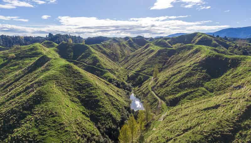 133 Mania Road, Rangiwahia