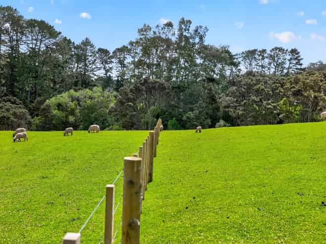 98A Hobson Road, Albany