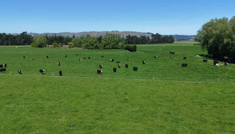 35 Maungatua Road, East Taieri