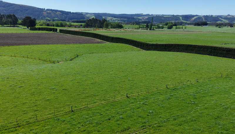 35 Maungatua Road, East Taieri