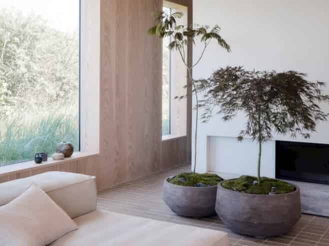 Established Lifestyle & Plant Retail Business