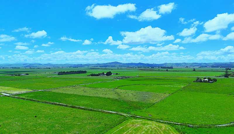 331 Simpson Road, Ruawai