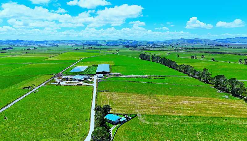 331 Simpson Road, Ruawai