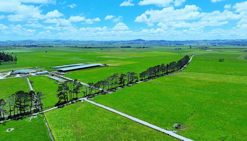 331 Simpson Road, Ruawai