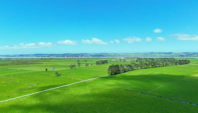331 Simpson Road, Ruawai