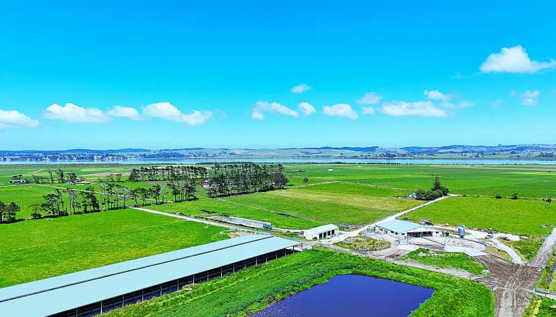 331 Simpson Road, Ruawai