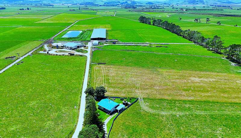 331 Simpson Road, Ruawai