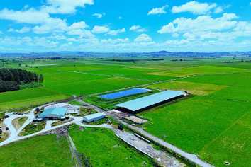 331 Simpson Road, Ruawai