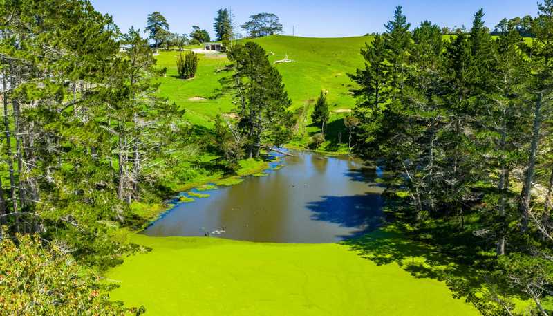29 Keer Road, Dargaville