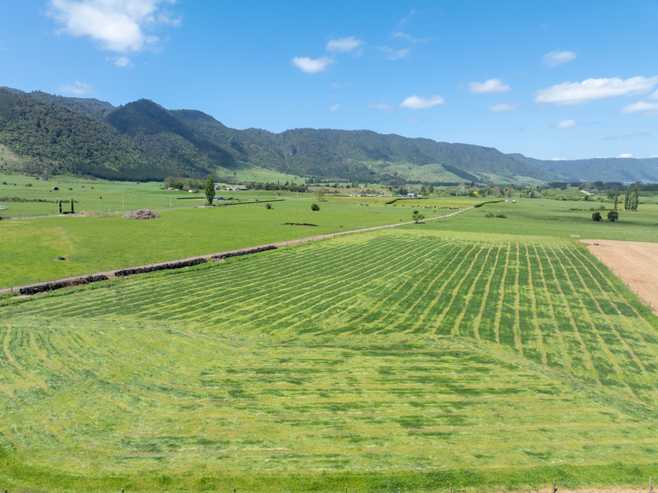 2031 Old Te Aroha Road, Matamata