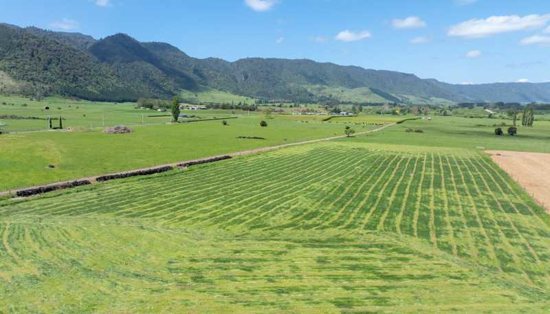 2031 Old Te Aroha Road, Matamata