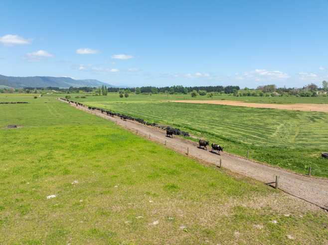 2031 Old Te Aroha Road, Matamata