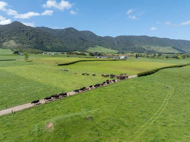 2031 Old Te Aroha Road, Matamata