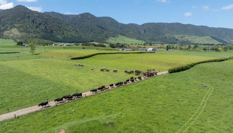 2031 Old Te Aroha Road, Matamata
