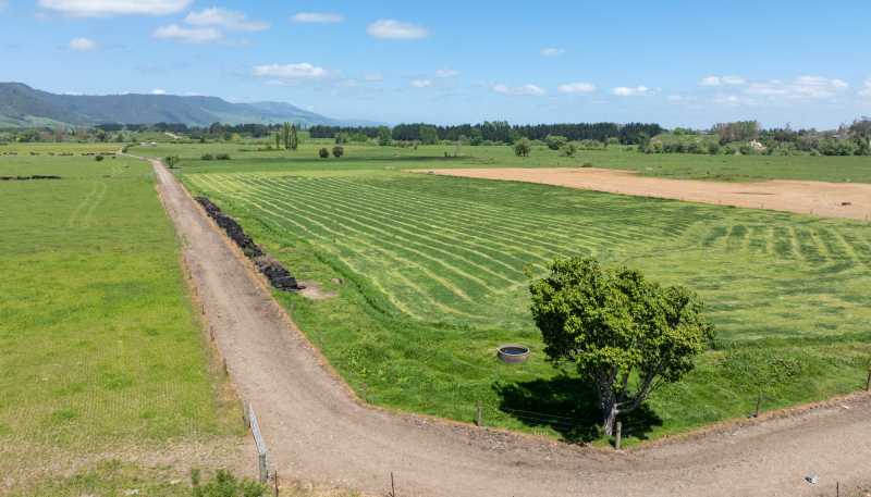2031 Old Te Aroha Road, Matamata