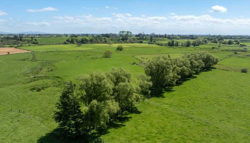2031 Old Te Aroha Road, Matamata