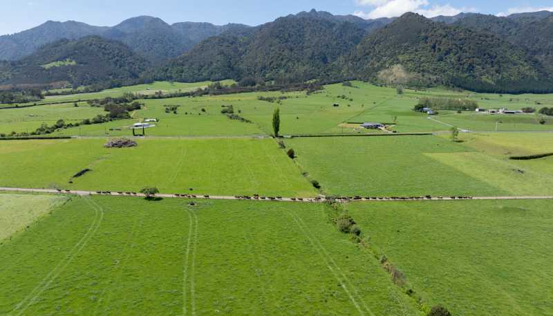 2031 Old Te Aroha Road, Matamata
