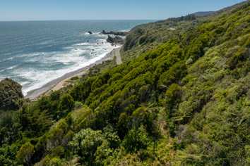  State Highway 6, Fox River, Punakaiki