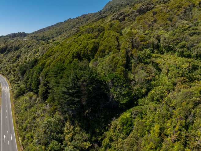  State Highway 6, Fox River, Punakaiki