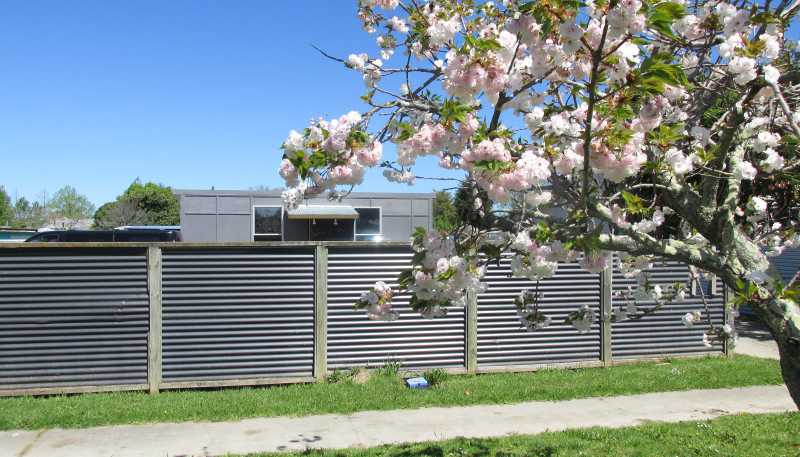 36 Mahia Avenue, Wairoa
