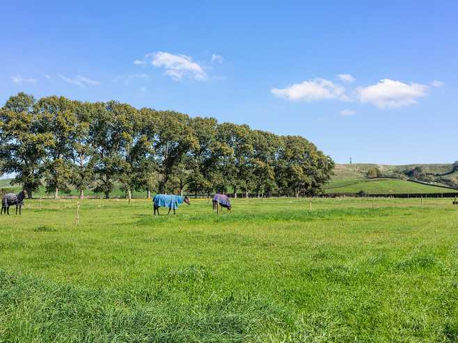 7 Taotaoroa Road, Matamata