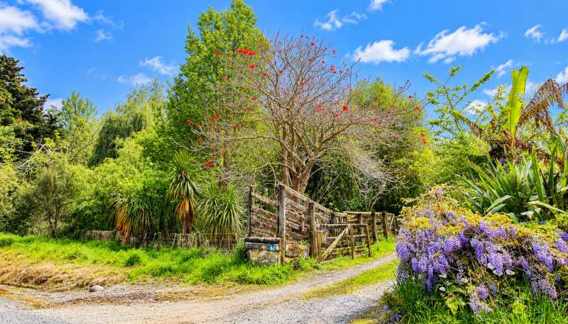 61 Waikawau Valley Road, Kereta
