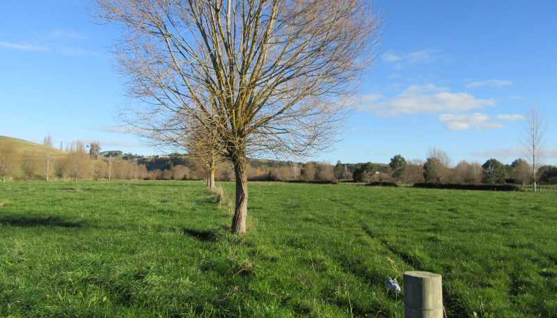 566 Lindsay Road, Waipukurau