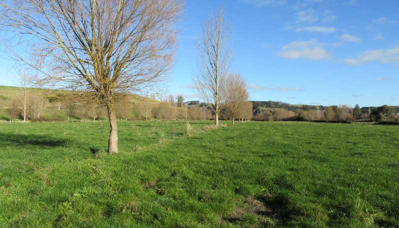 566 Lindsay Road, Waipukurau
