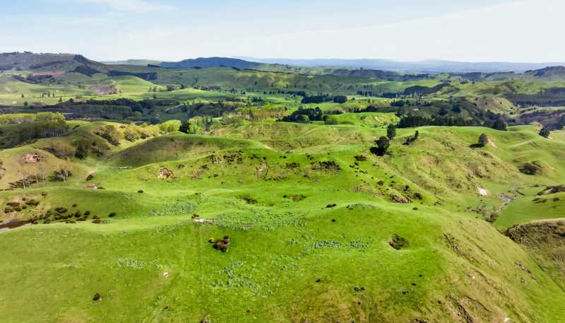 559 Maraetotara Road, Maraetotara